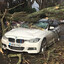 BMW Tree Series