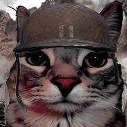 |CATZS| Nothis >0<