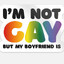 I'm Not GAY, But My Boyfriend is