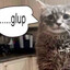 Meown'Gulp's avatar