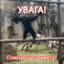 КакаVOZик