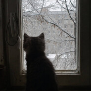 Аватар GHOST