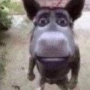 адский гаджет