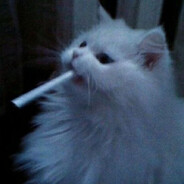 eaeaeaea - steam id 76561199209042468