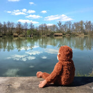 monke calm