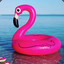 La Flamande Rose