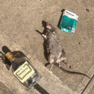 MASTER SPLINTER OFF DA HENNY