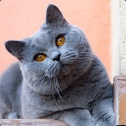 Spandex - steam id 76561197961437754