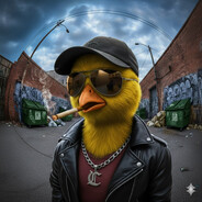 Mr-ZeD