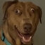 Dag