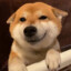 阿柴