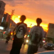 偏遇你时不逢春