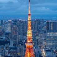 ホンゴ　ヒツジ