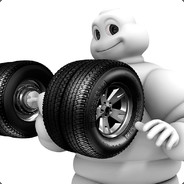 Michelin gamer