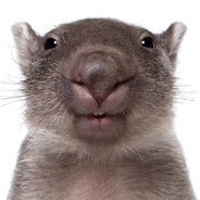 hogsucker