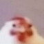 Vaasik