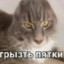 Грызть пятки