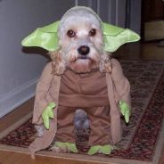 Feyd (SF7) - steam id 76561197971066137