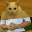 ТОПЦЫ