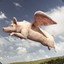 The_Flying_Pig