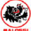 Malossi