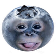 Meeko