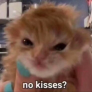 啊啊啊啊啊啊啊啊