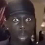 WHAT IS THE DOG DOING