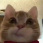 也许导完就不会思念