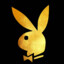 PlayBoy