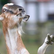 Hugh_Jaynus - steam id 76561197968143695