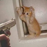 kevin "tonton le bouze..."