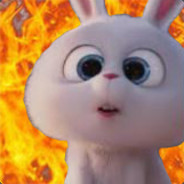 U(Oㅅo)U....SNOWBALL 