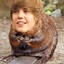 Justin Beaver