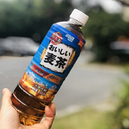 淡淡的大麦茶哥哥