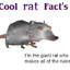 TheRatGuy