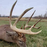 ΞZPZ - steam id 76561197992761378