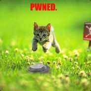 K4Lm4 - steam id 76561197965495083