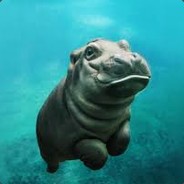 BabyHippo