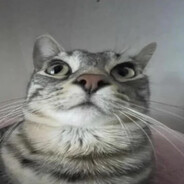 ed1