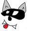 raccoon