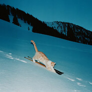 林黛玉正在长头发