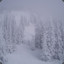 blizzard1523