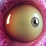 Gaukler - steam id 76561197969293364