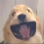 杀我的自动下载猿神