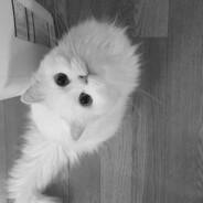 ‹3 - steam id 76561197964962607
