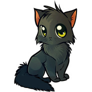 范德林德帮话事人