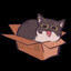 FactoryKat