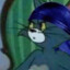 tails