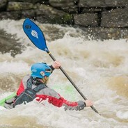 The Average Ginger Nut